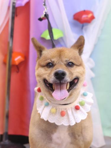 20230608やまとくん